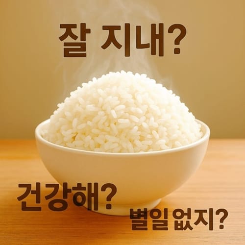 Warm Korean social culture