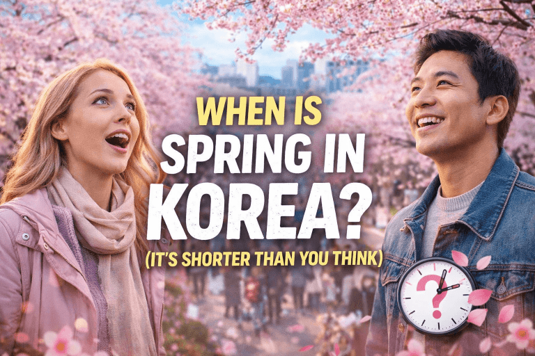 spring in Korea cherry blossoms Seoul April